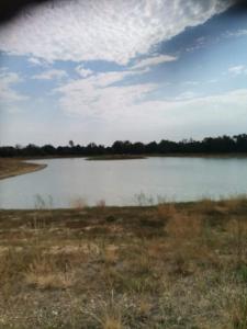 Pázsit-tó Vendégház