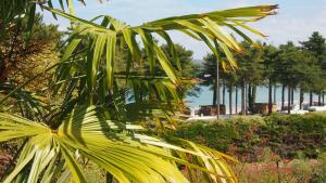 Maisons de vacances Belle villa a 150m de la plage. : photos des chambres