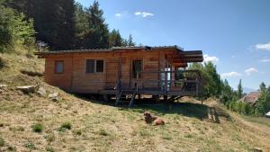 Chalets Les Chatcureuils : photos des chambres