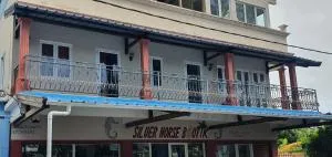 Silver Horse - Palmar