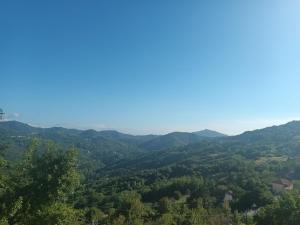 appartamento la pineta IT010-058C2O-TJ54093