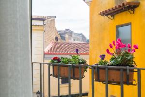 Casa Parravano - Dimora storica vicino alla Reggia