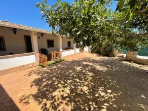 Ballesterin - Alcolea