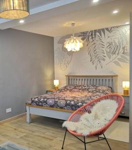 Appartements Superbe cosy T1 Bis Studio 40m2 independant en maison avec parking gratuit : photos des chambres