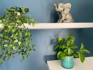 Beautiful City Centre Apartment Close to Minster