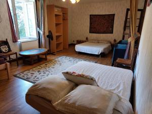 Appartements Dormir au bord de la Vezere : photos des chambres