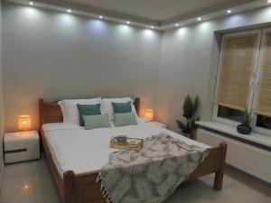 Apartament JACUZZI PRESTIGE Exotic Green Rynek Centrum Prywatne MIEJSCE PARKINGOWE