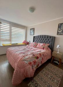 Condomio Gran Alicura - Pucón