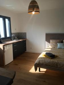 Appartements Charmant logement au calme avec espace exterieur : Appartement 1 Chambre