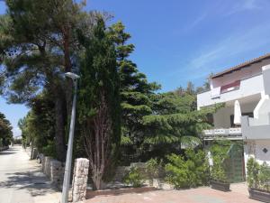 Apartments with a parking space Mandre, Pag - 9420 