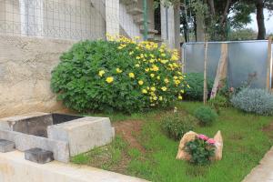 Apartments with parking space Novalja, Pag - 9417