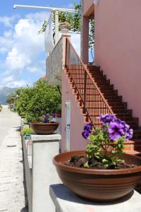 Apartments by the sea Zuljana, Peljesac - 10112