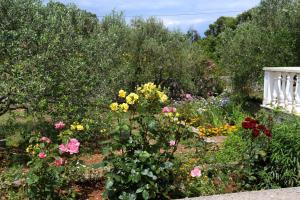 Apartments by the sea Drace Peljesac 10127