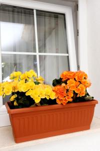 Apartment Viganj 10140b