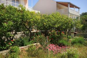 Apartments with a parking space Orebic Peljesac  10070
