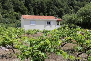 Apartments with parking space Trstenik, Peljesac - 10109 - 3hvězdičkové hotely ve městě Trstenik