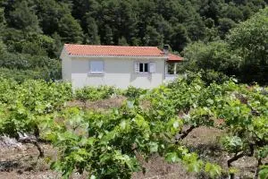 Apartments with a parking space Trstenik, Peljesac - 10109 - Osobjava