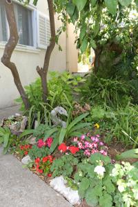 Apartments with parking space Trpanj, Peljesac - 10111