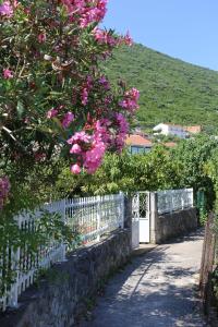 Apartments with a parking space Trpanj, Peljesac - 10148