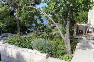 Apartment Viganj 10116d