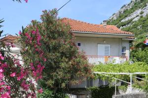 Holiday apartments Duba Peljeska, Peljesac - 10230