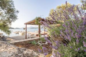 Apartments by the sea Zuronja, Peljesac - 10134