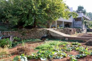 Apartments by the sea Basina, Hvar - 9673