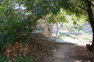 Apartments by the sea Basina, Hvar - 9673