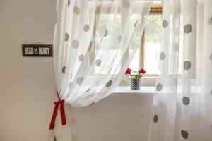 Apartments by the sea Komiza, Vis - 11671