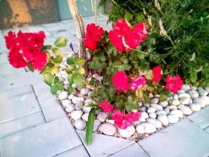 Apartment Starigrad 11683b 