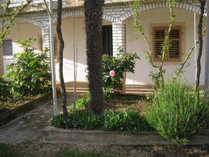 Apartments with a parking space Galizana, Fazana - 11712