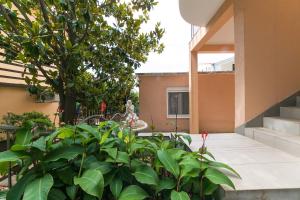 Apartment Podaca 11748a