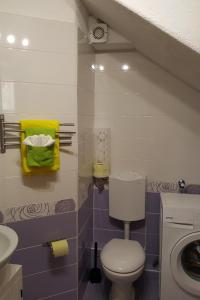 Family friendly house with a swimming pool Puljane, Krka - 11688