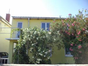 Apartments with parking space Vir - 11812
