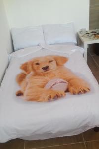 Apartments with a parking space Dajla, Novigrad - 11845