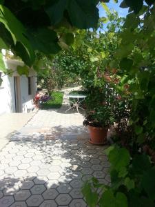 Apartment Orebic 11834b