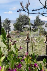 Apartment Starigrad 11848a