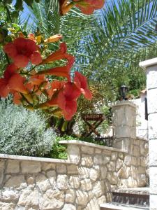 Apartments by the sea Trogir - 11895