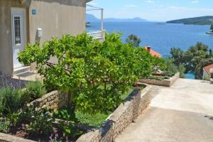 Apartments by the sea Lumbarda, Korcula - 9688