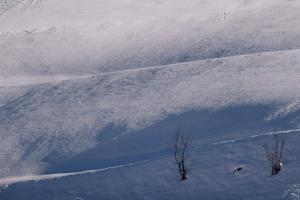 Wellness Refugium & Resort Hotel Alpin Royal - Small Luxury Hotels of the World