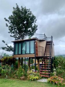 เขาค้อ กุหลาบแดง รีสอร์ท