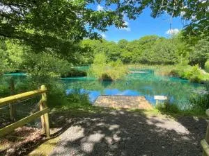 Converted French bus with stunning views - Langtree