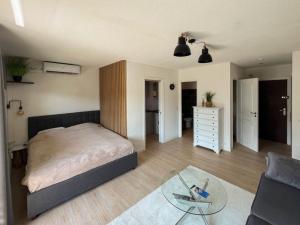 Cozy studio apartment in Cannes - AC-Self check-in