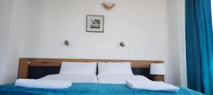 Къща за гости Вивиан