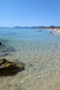 Rey Marina Romantica img15