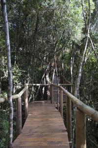 Trogon House and Forest Spa