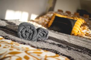 NAP Apartments BOHO Artists Space