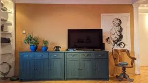 Center, Private Garage, Danube & Fortress, 3 bdrm 2 bath - 彼得罗瓦拉丁