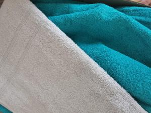 Bloom Box Apartments