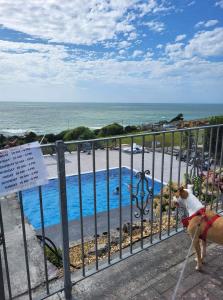 Hendre Coed Isaf static caravan Barmouth